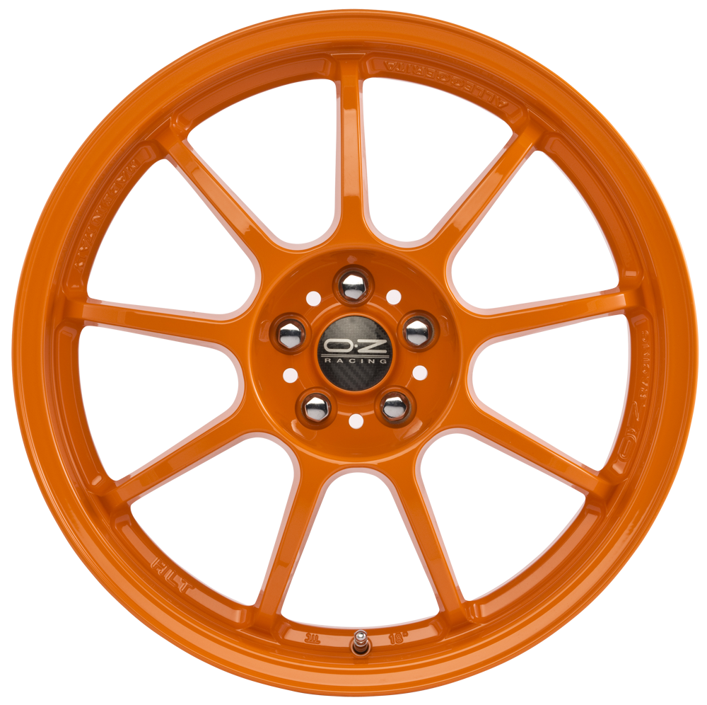 visuel ALLEGGERITA HLT 8.5x18" n°2