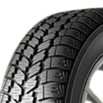 MASTERSTEEL W3 Winter PL3 205/55R16 91 H