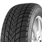 MASTERSTEEL Winter + IS-W 205/55R17 95 H